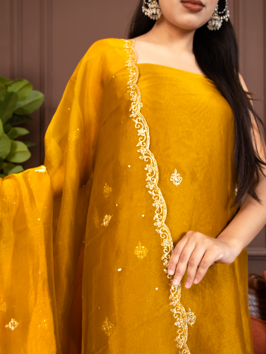 Close-up of luminous shimmer-organza kurta and dupatta paired with a fluid silk bottom 